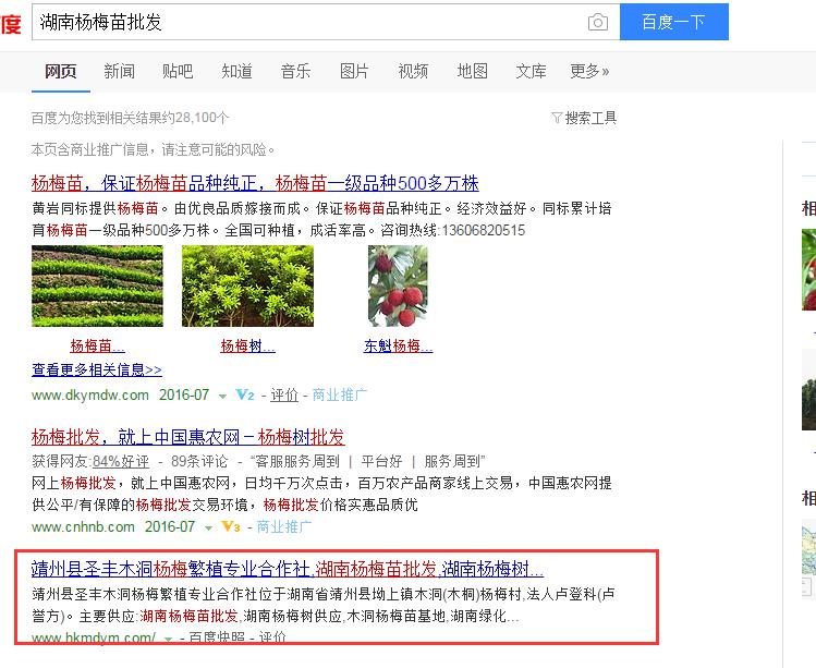 這樣做seo，靖州楊梅網(wǎng)站排名有盼頭