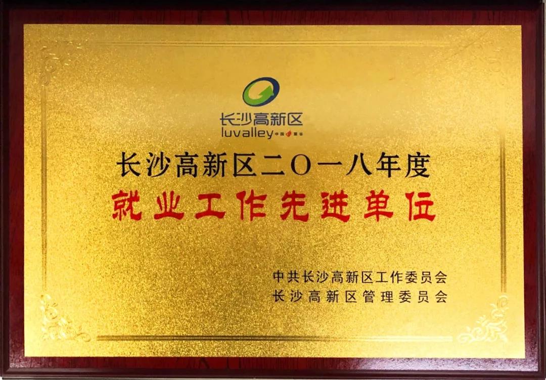 競(jìng)網(wǎng)獲長(zhǎng)沙高新區(qū)2018年度“就業(yè)工作先進(jìn)單位”稱號(hào)！